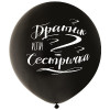 Шар с рисунком 24