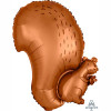 Белка коричневая